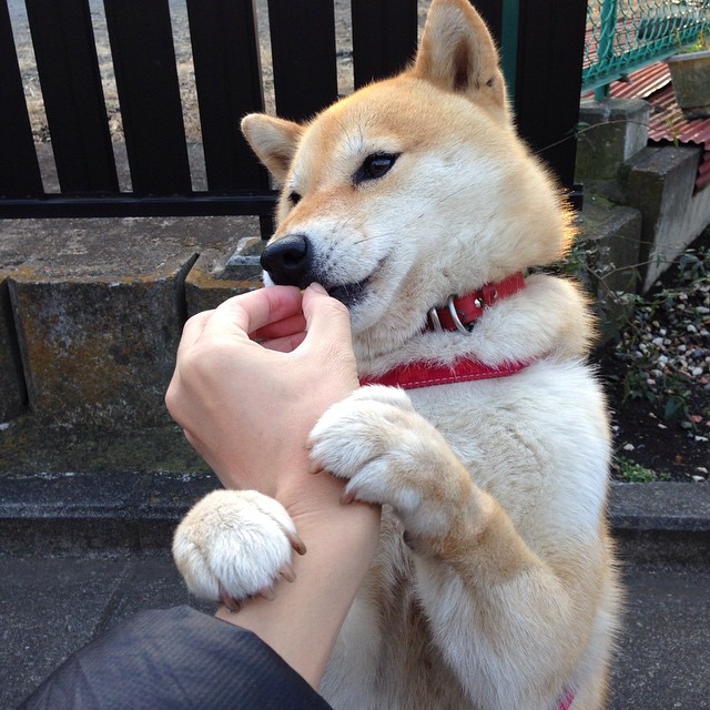 开云综合服务-《电竞选手的“明星养成记”：从新人到顶级高手》，电竞明星选手是什么意思